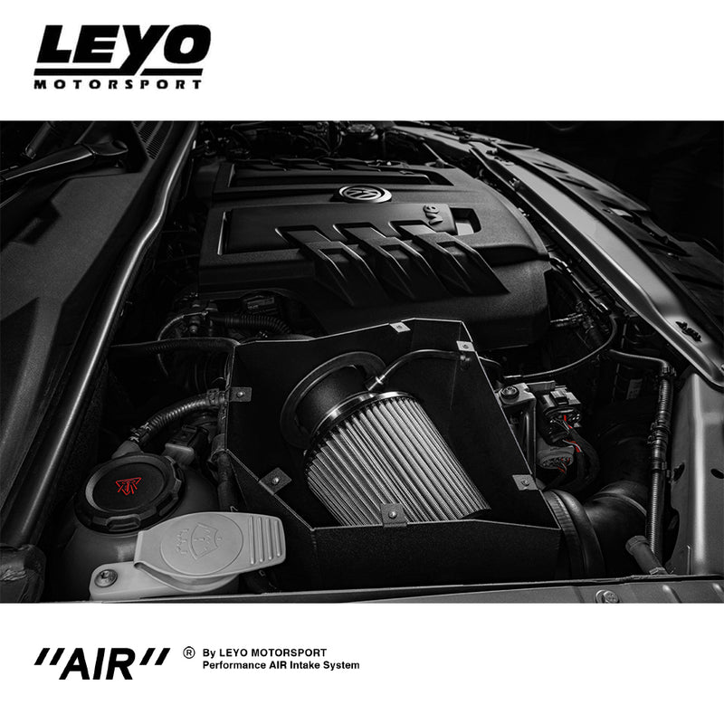 Leyo Motorsport VW Amarok 3.0 V6 Intake System